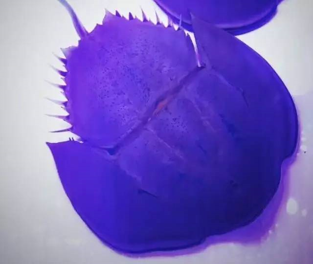7.png 7.png