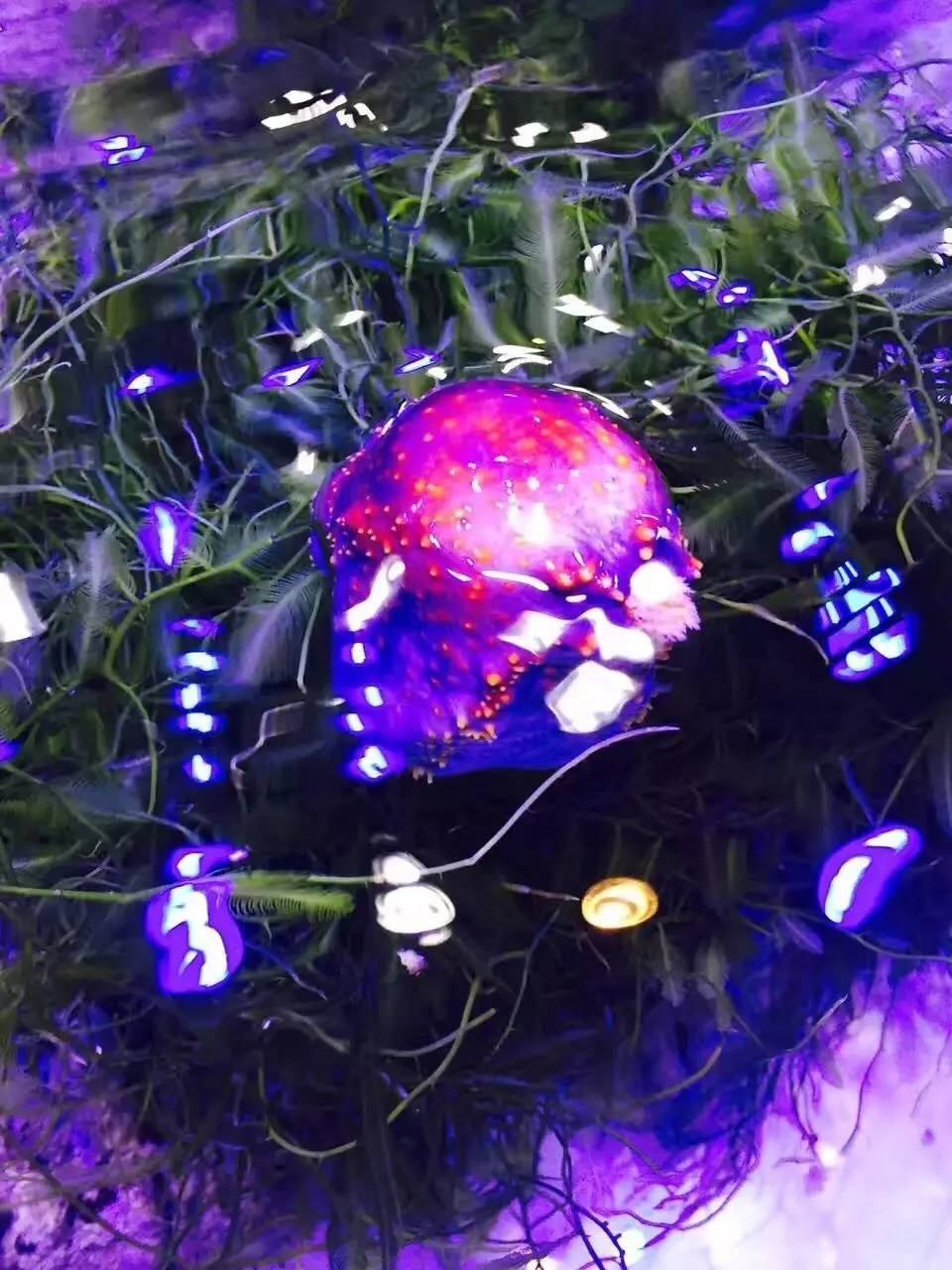8.png 8.png