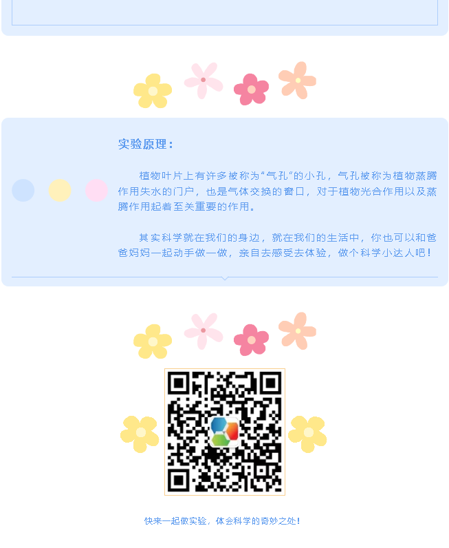3 (2).png