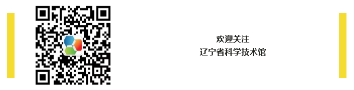 火狐截图_2021-11-18T08-11-03.938Z.png
