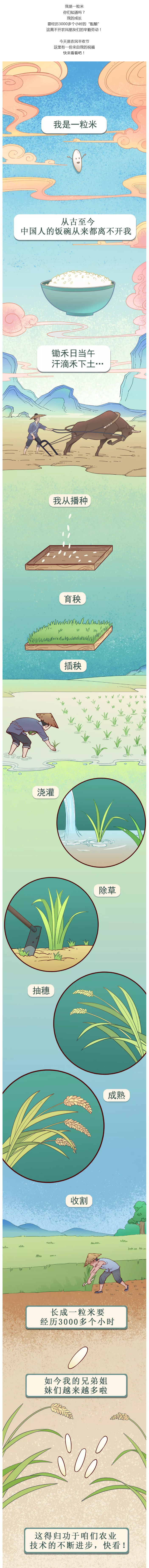 火狐截图_2021-11-18T08-31-24.238Z.png